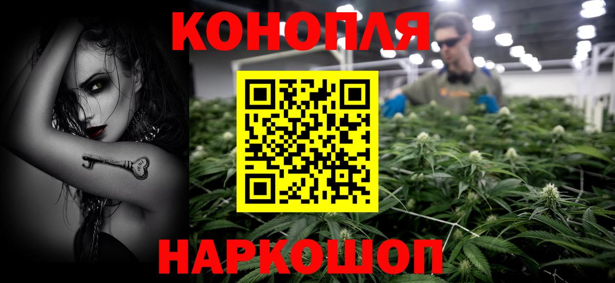 Конопля план  МАРИХУАНА сатива  Конопля тримм  Вход с VPN  Чистополь  Конопля VHQ 